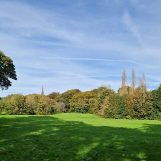 A view across a grass field to a church spire surrounded by trees
