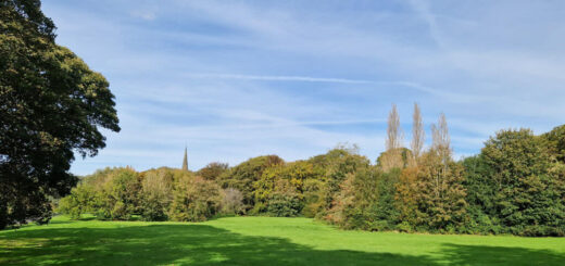 A view across a grass field to a church spire surrounded by trees