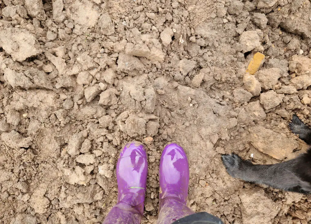Christine is standing on a muddy field with the dog, wearing her purple wellies