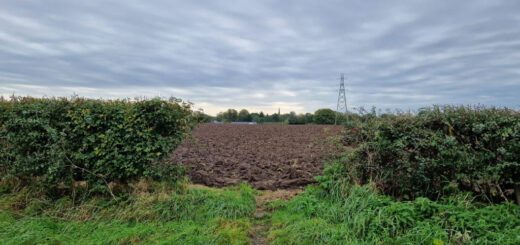 A footpath through hedges is cut off by a ploughed field