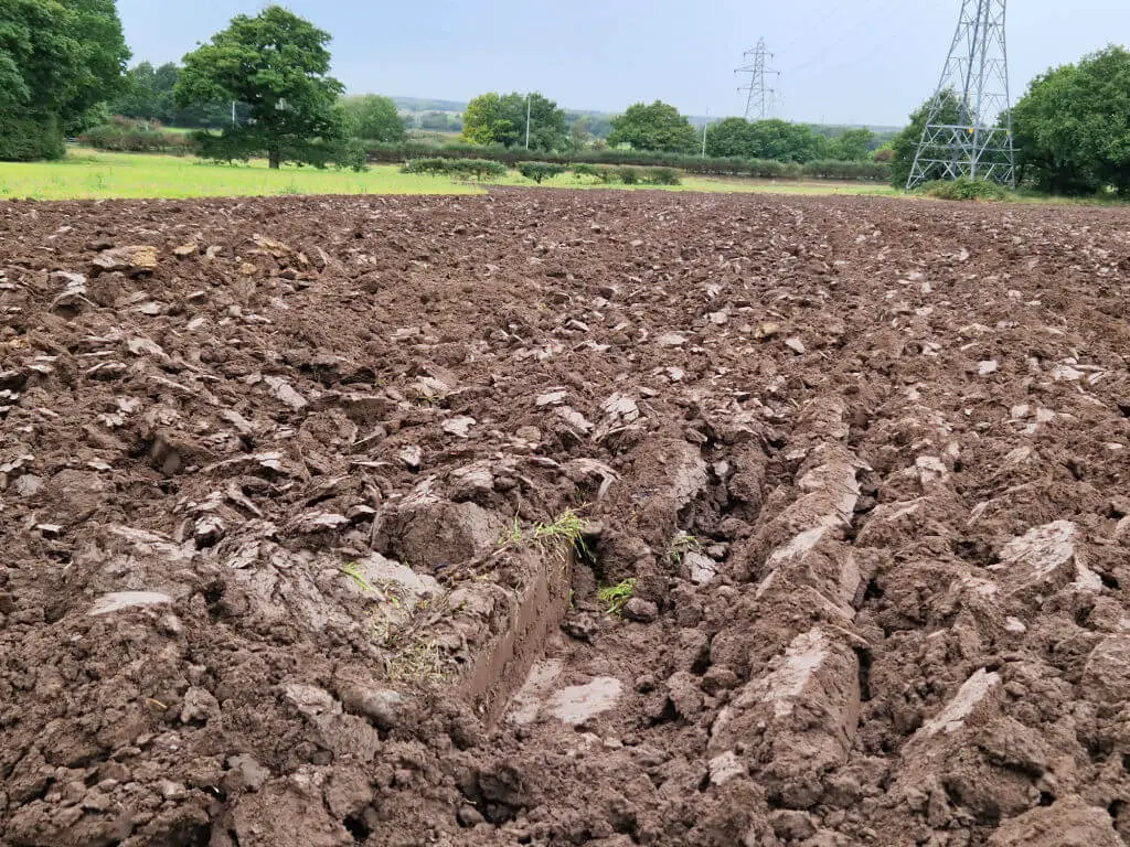 Shiny furrows in a ploughed field