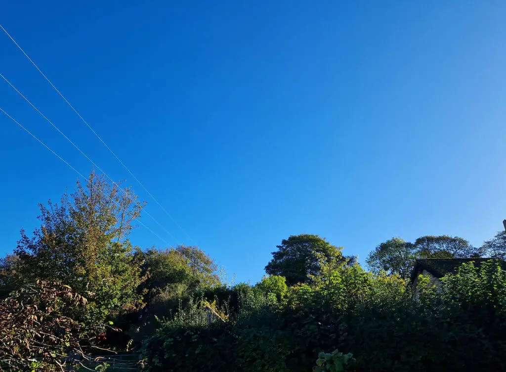 A clear blue autumn sky above green trees