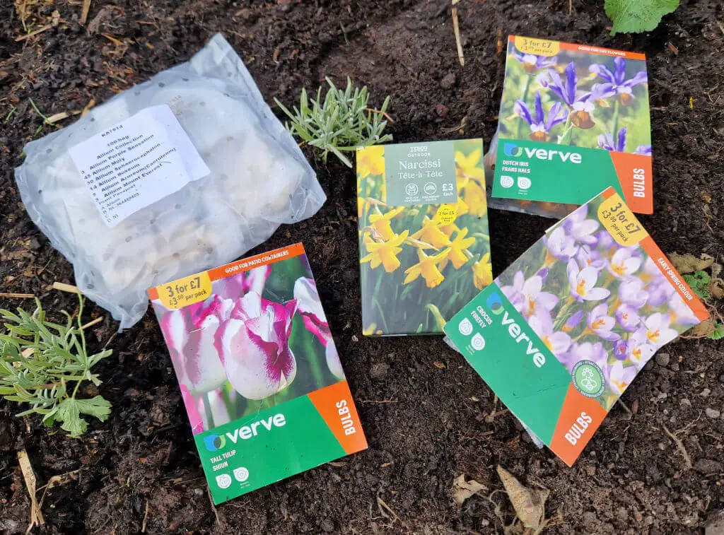 Bulb packets lying on the soil of a garden border