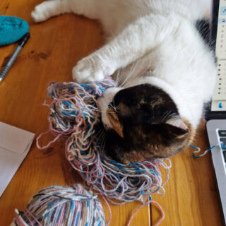 A ginger, black and white cat is lying on a wooden table playing with some yarn