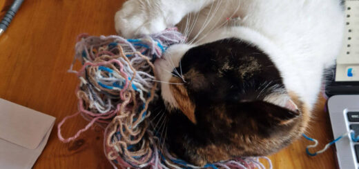 A ginger, black and white cat is lying on a wooden table playing with some yarn