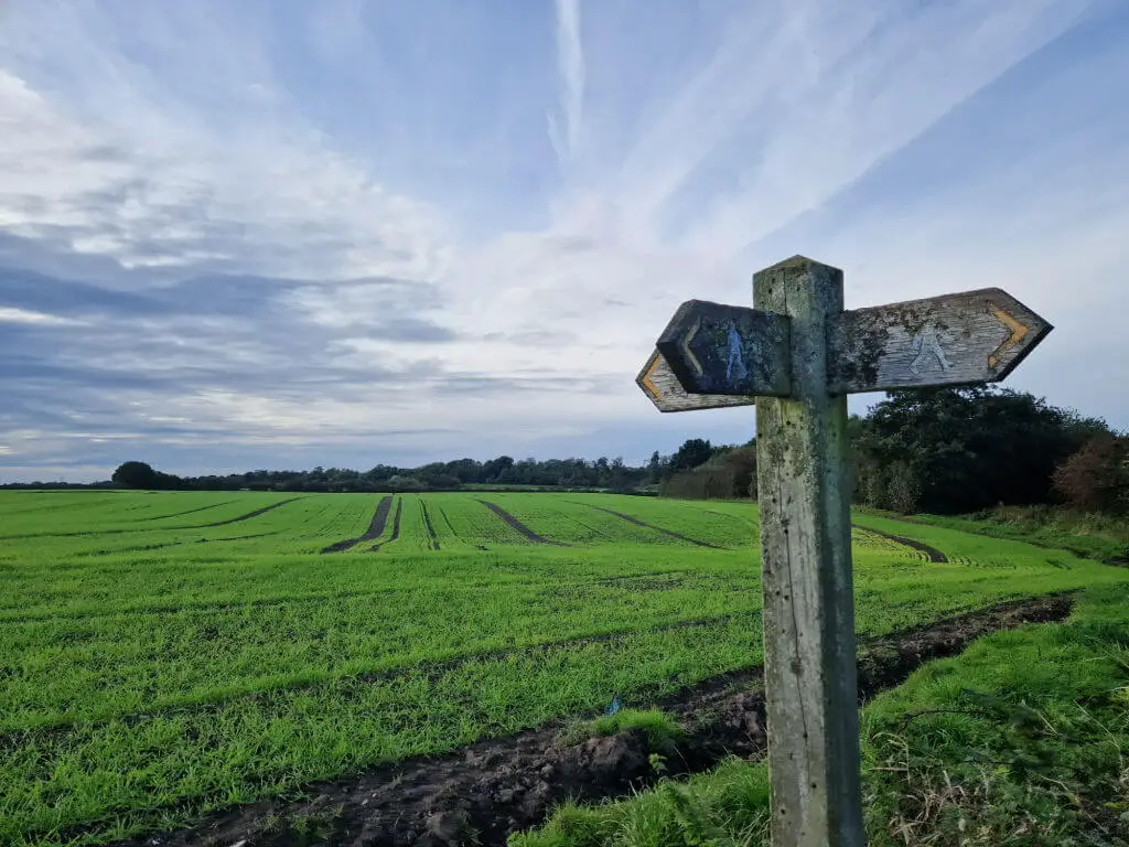 Green fields and wispy clouds behind a wooden footpath sign