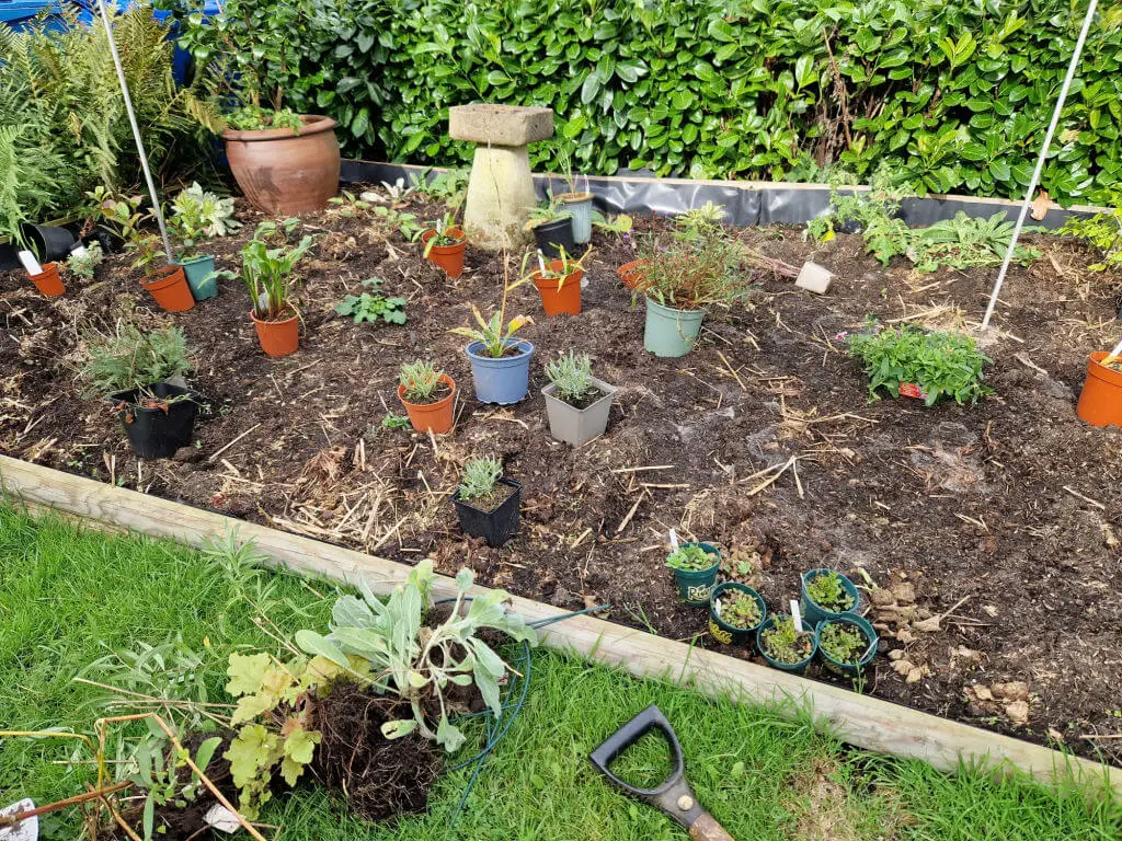 A garden border with potted plants standing on soil