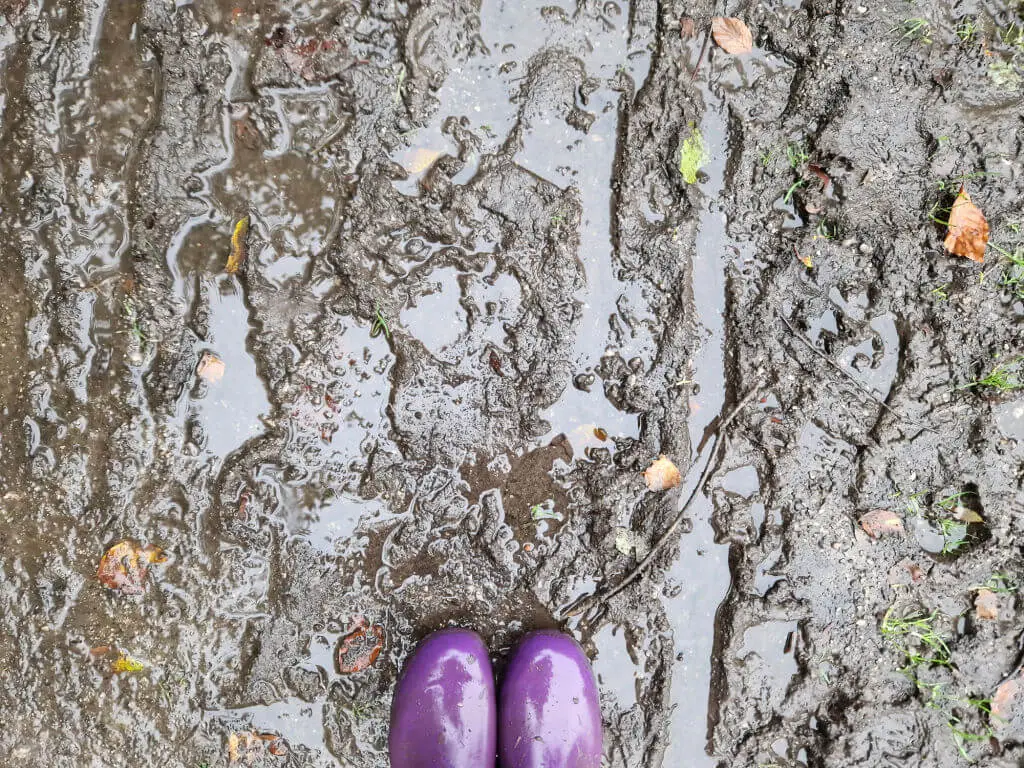 Muddy tracks on a footpath with purple wellies for context