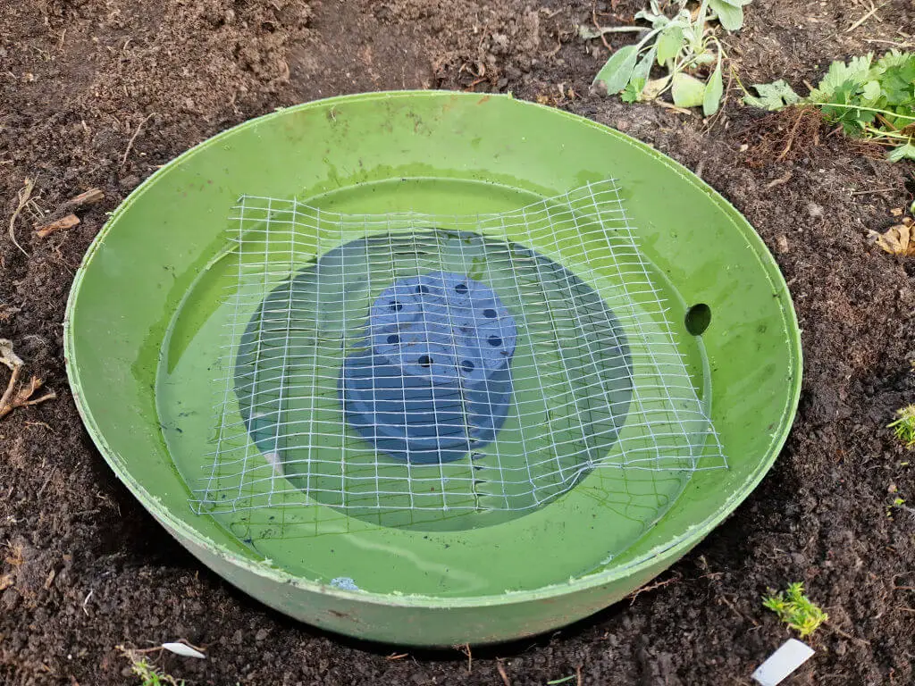 A black plant pot in the base of a green plastic pond, covered with mesh