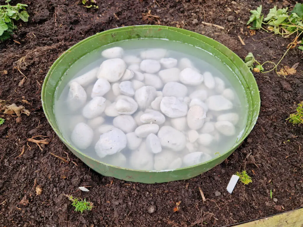 Large white pebbles in a green plastic pond.  The water is cloudy.
