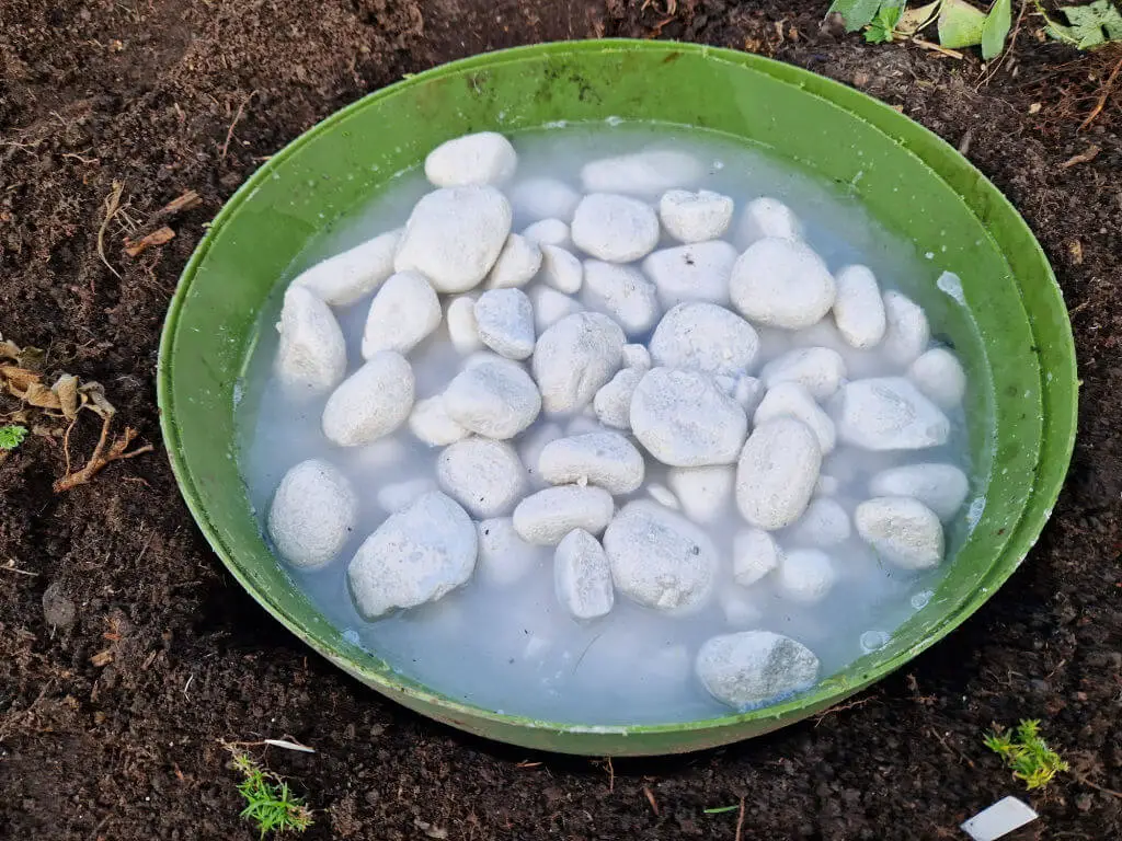 Large white pebbles in a green plastic pond.  The water is clearing.