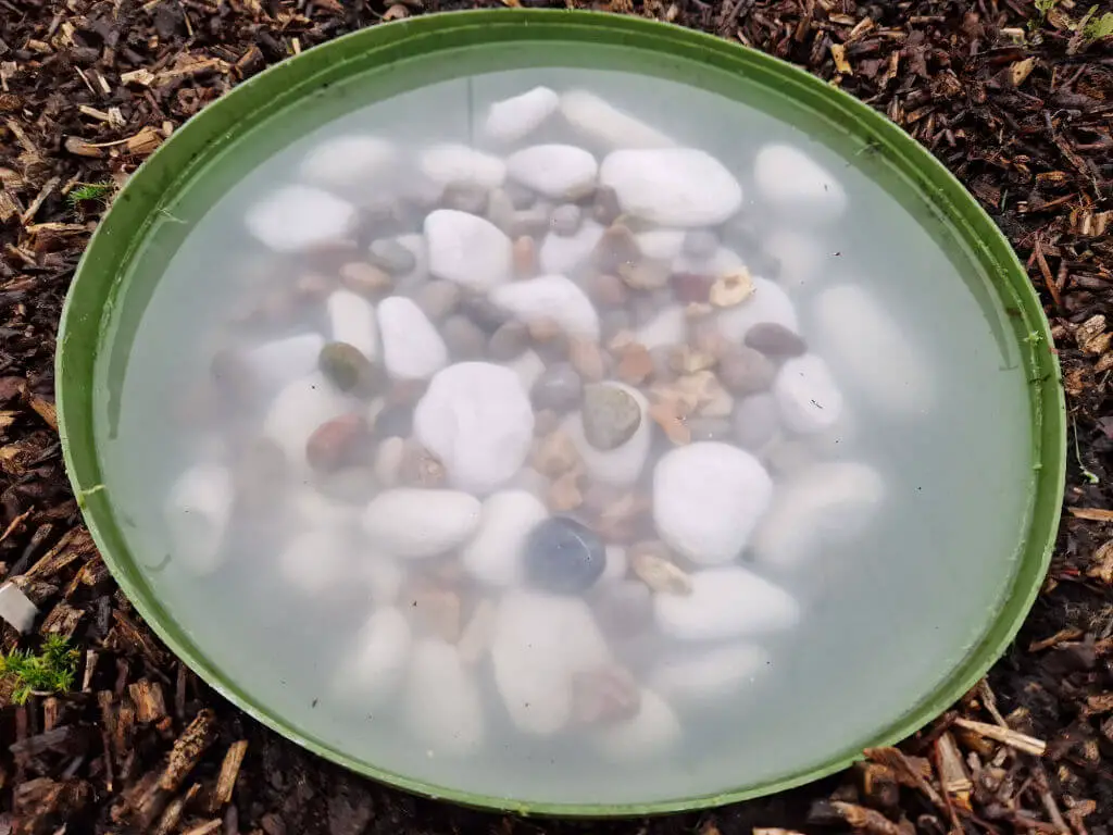 Small beach pebbles in amongst large white pebbles in a green plastic pool