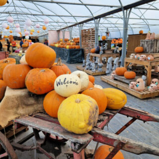 An old-fashioned wooden hand cart piled high with pumpkins