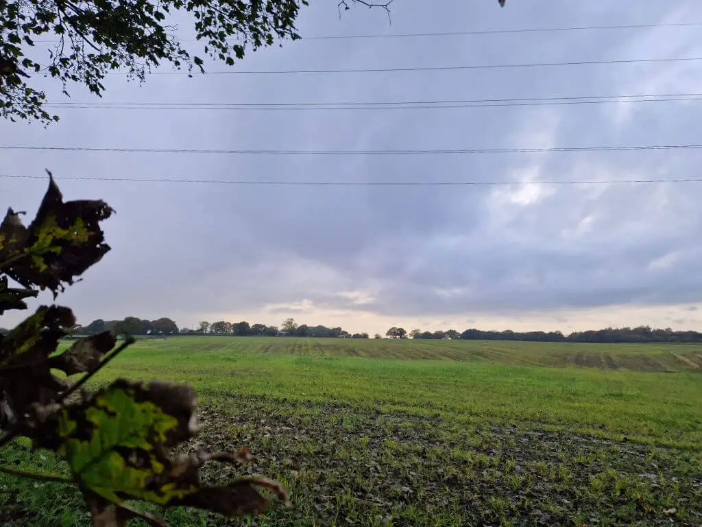 A cloudy sky full of rain above a field of green shoots