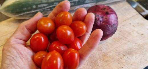 A handful of bright red miniature plum tomatoes