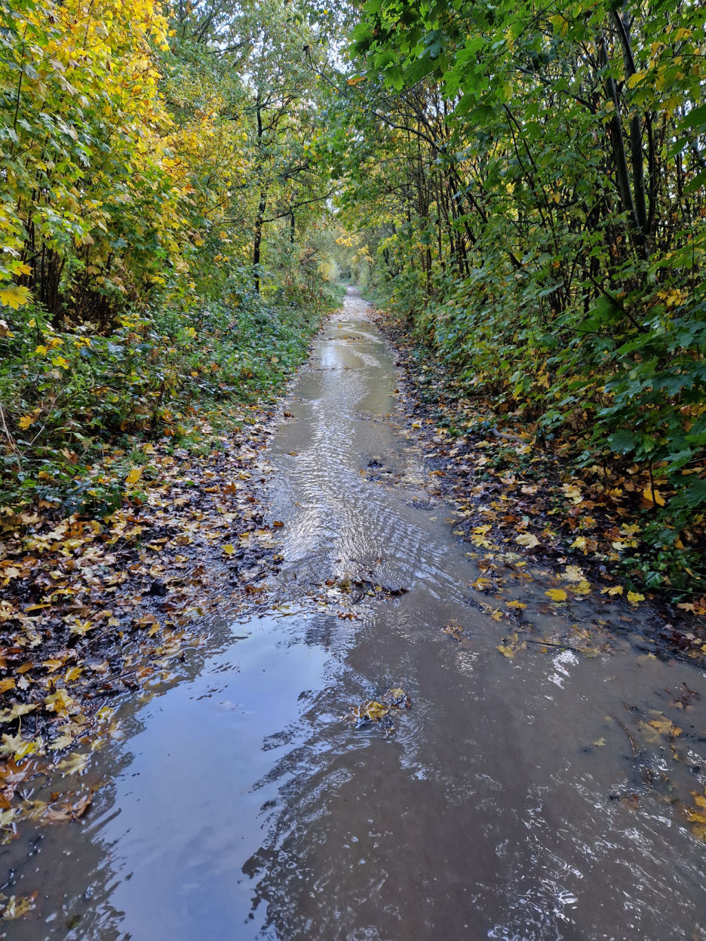 A flooded footpath.  You can see the zig zag path that the water is taking