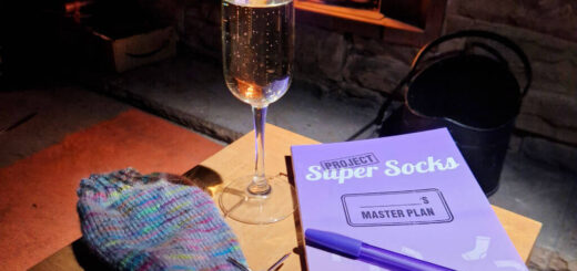 A purple book with a purple pen lying across it is on a wooden coffee table in front of an open fire. There is a glass of prosecco and a partly-knitted sock on the table too.