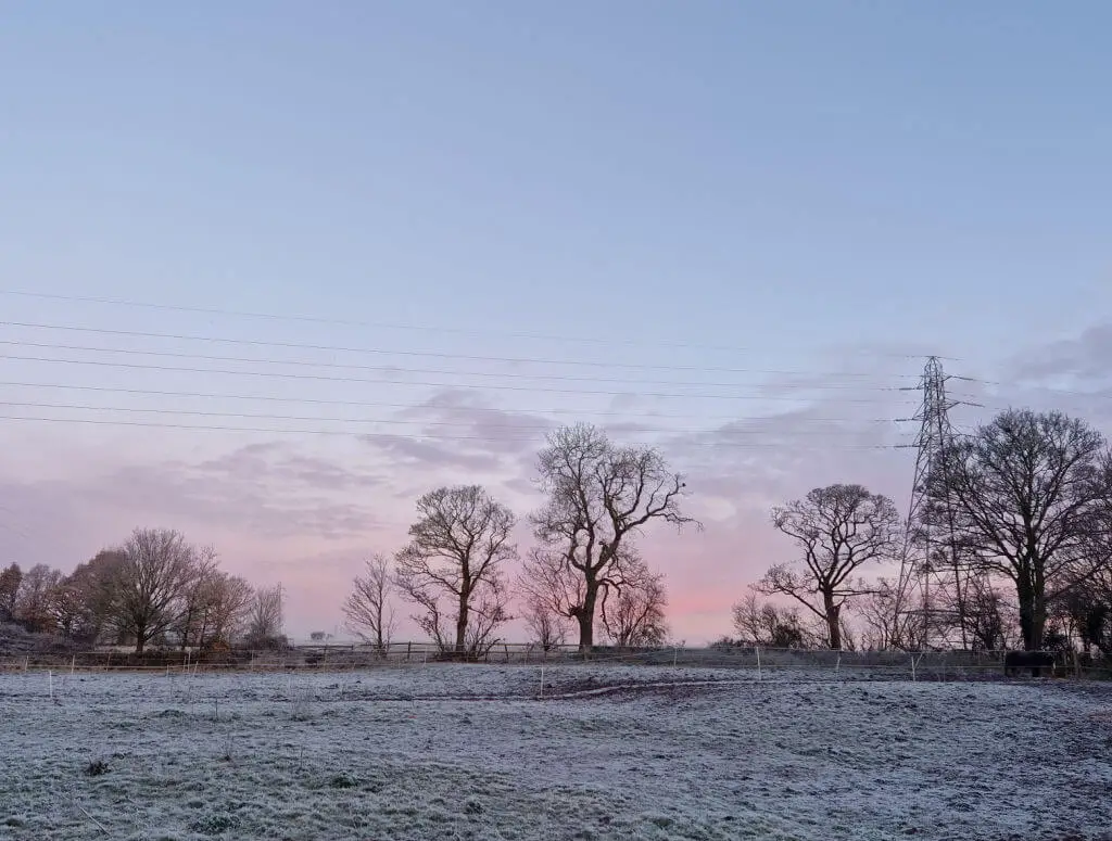A pink sunrise sky over a frosty field. There are silhouettes of bare trees against the sky