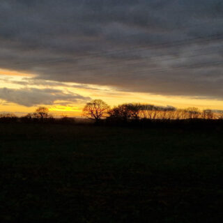 A golden sky sandwiched between dark clouds and a field which appears black as the light fades. Silhouettes of trees stand out against the sunset