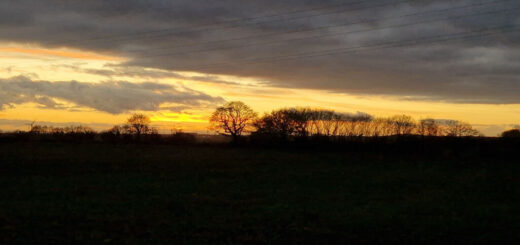 A golden sky sandwiched between dark clouds and a field which appears black as the light fades. Silhouettes of trees stand out against the sunset