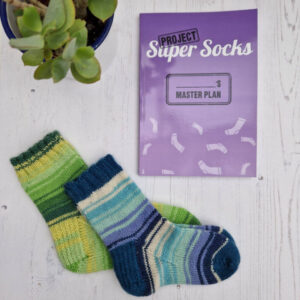 A purple notebook entitled Project Super Socks with a name plate to write a name on is lying on a white wooden floor next to two pair of small socks, one in blue stripes and the other in green stripes. There's a succulent plant in the top left hand corner