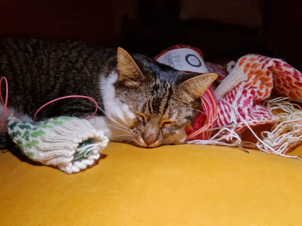 A tabby and white cat is sleeping in a pile of partly-knitted colourwork socks. The sofa she is lying on is mustard yellow