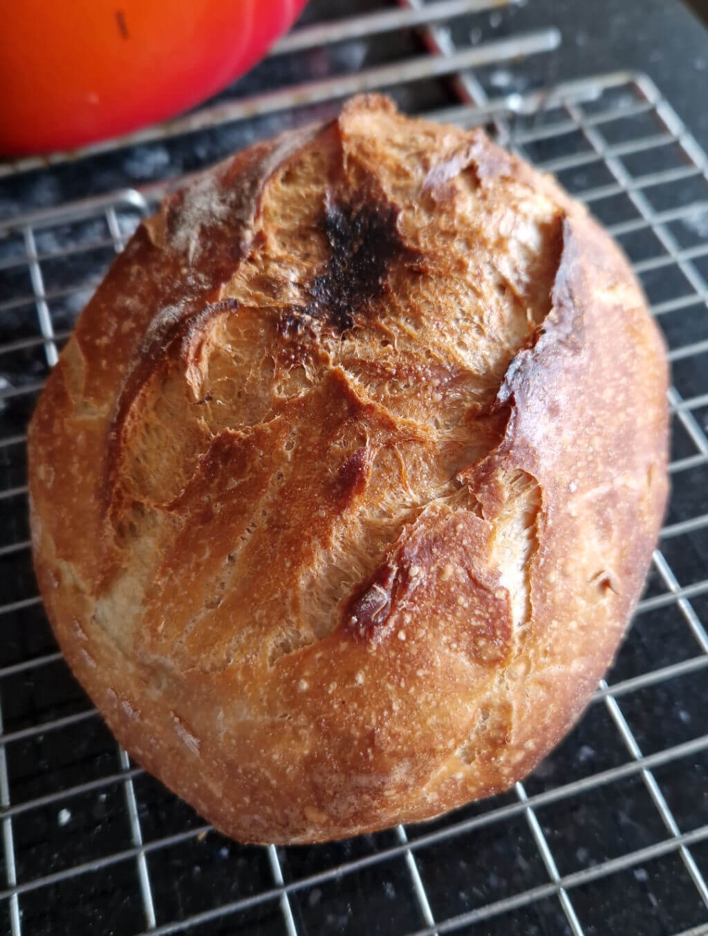 A freshly baked loaf of bread on a cooling rack