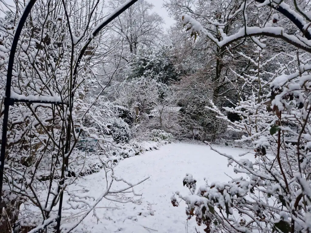 A view through a rose arch to a garden covered in snow
