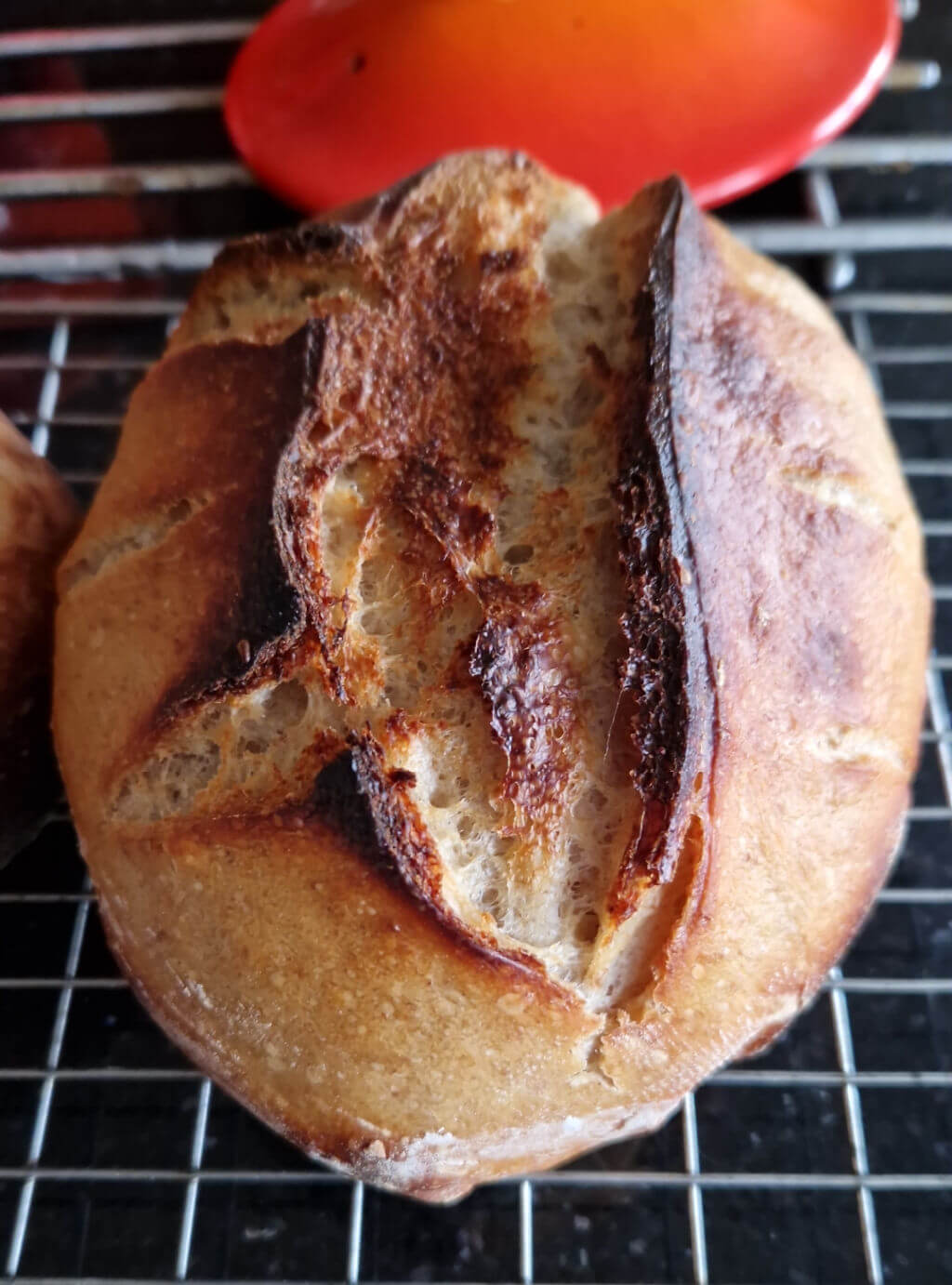 A freshly baked loaf of sourdough bread on a cooling rack