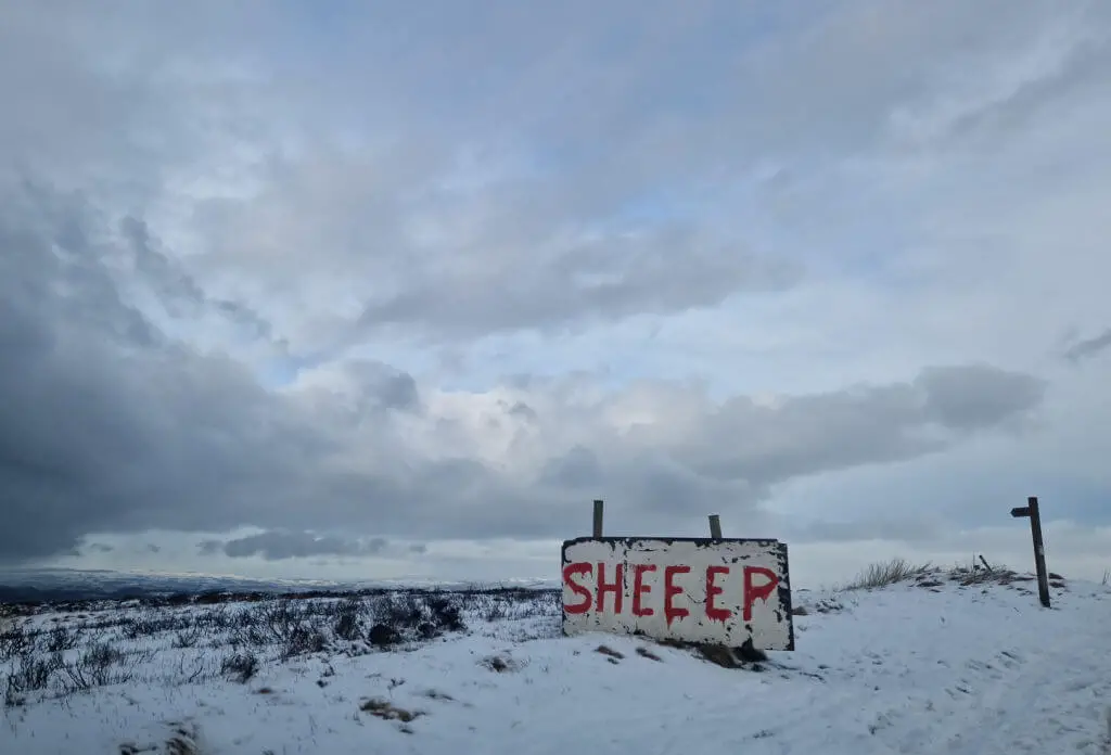 A snowy landscape and a grey sky with a white sign with the word Sheep written on it in red writing. "Sheep" is spelt with 3 Es