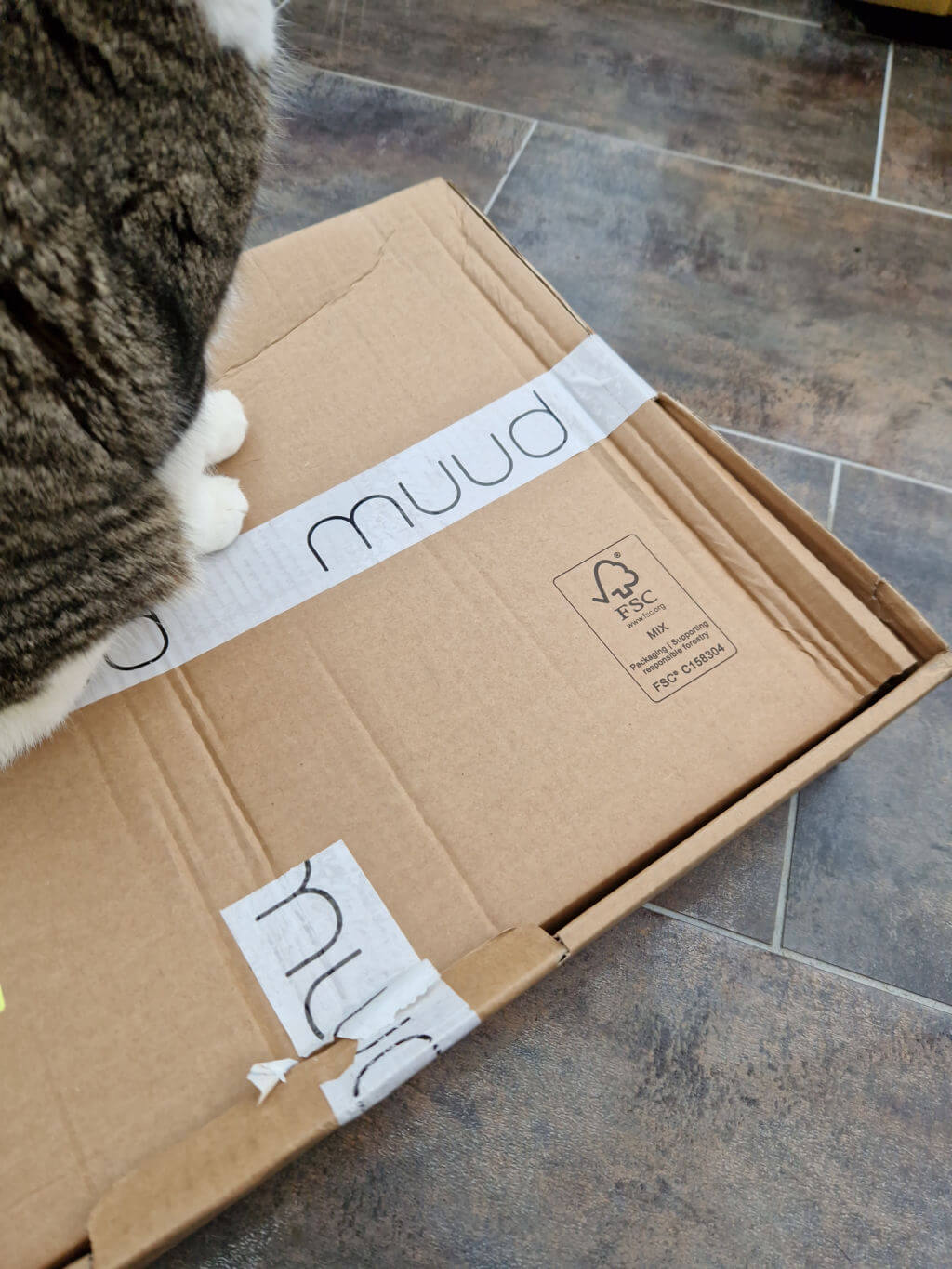 A tabby and white cat sits on a cardboard box secured by parcel tape with the word Muud on it