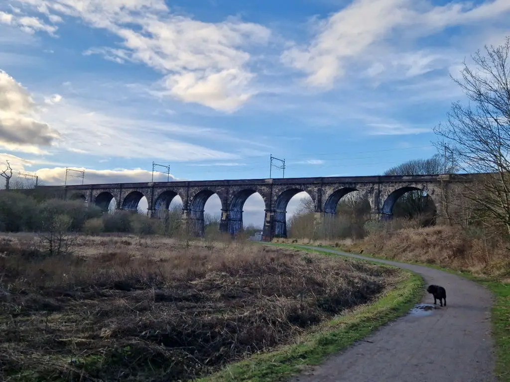 A view across a bare winter landscape to the Nine Arches railway viaduct