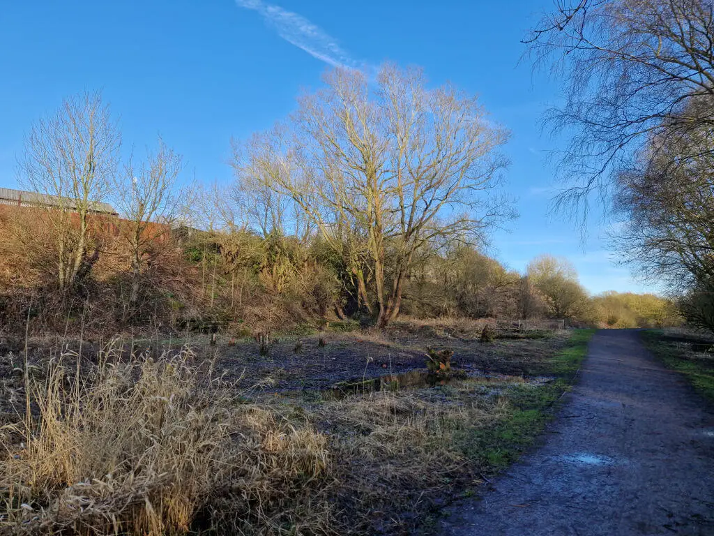 A view across a previously overgrown area next to a footpath.