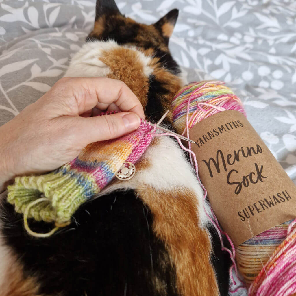 A partly-knitted sock held against the back of a sleeping cat