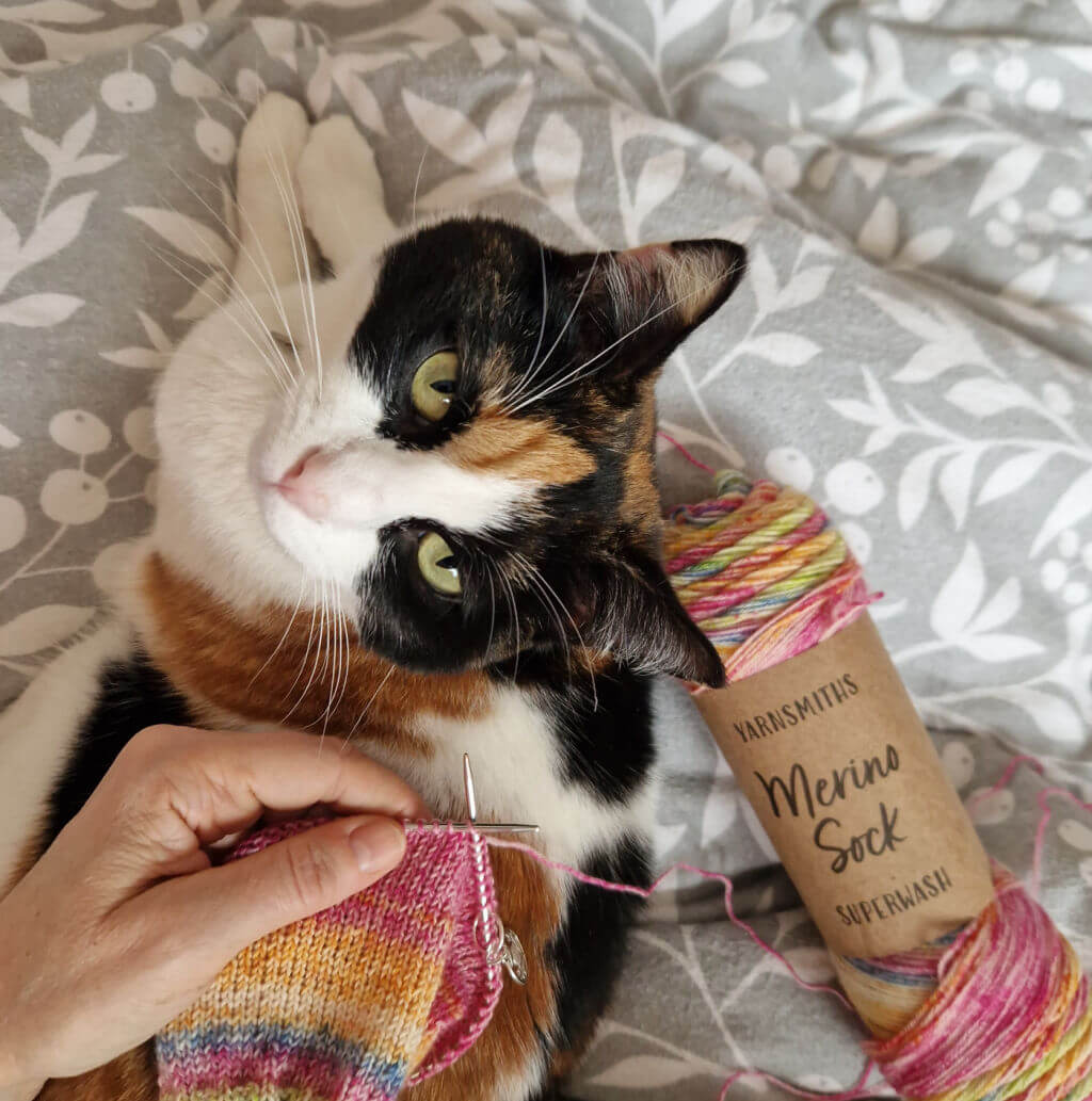 A partly knitted sock photographed next to a cat which has turned to look at the camera