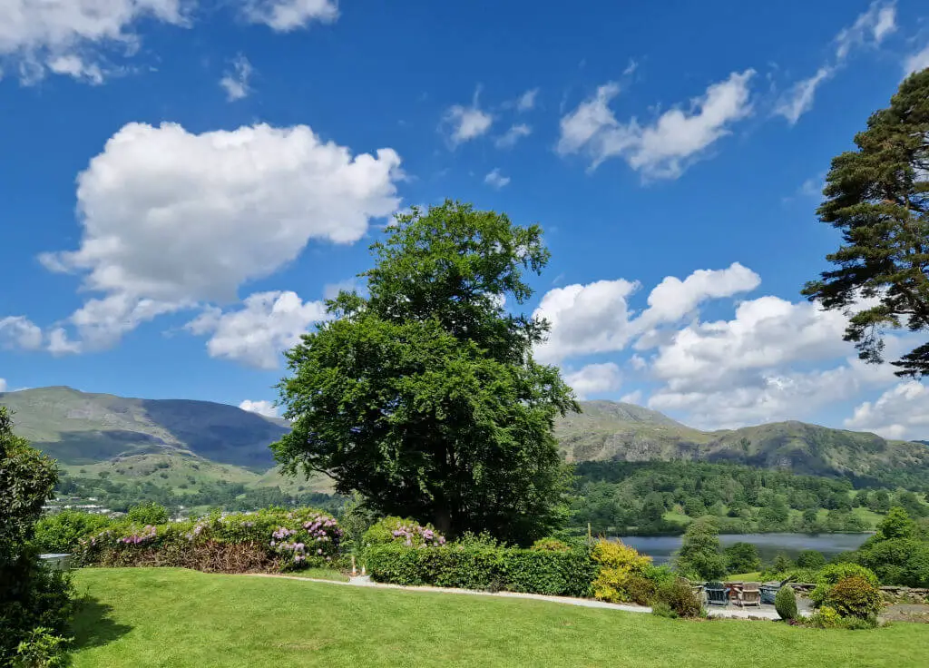 A view across a lawn to the hills beyond. A tree is in the centre of the view. The sky is blue and the sun is shining.