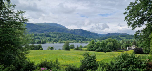 A view across Coniston water to the hills beyond. There is an abundance of green in the fields and the trees