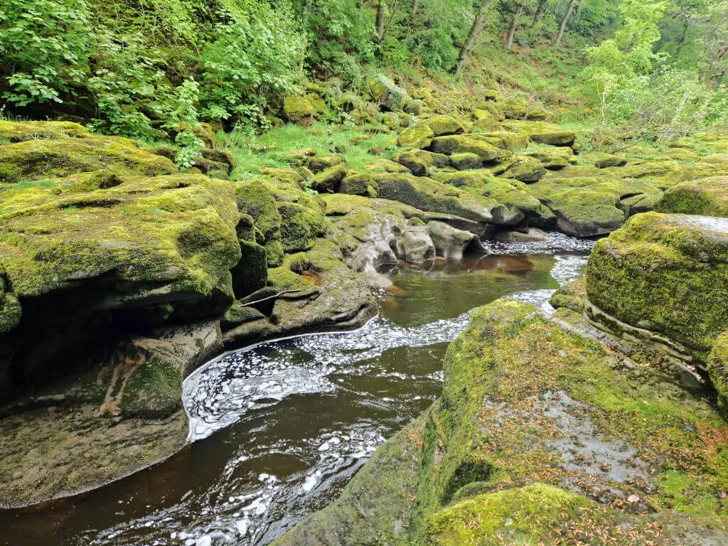 A narrow section of river flowing through layered rocks covered with bright green moss. You can see how the rocks have been worn by the water