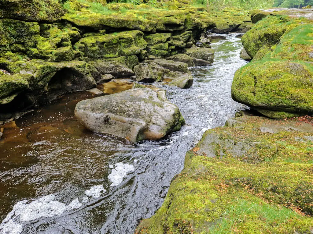 A narrow section of river flowing through layered rocks covered with bright green moss. There is a huge rock in the middle of water.