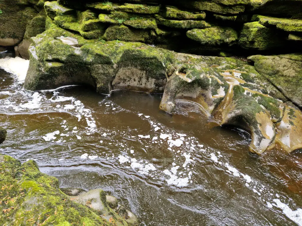 Water rushing from The Strid waterfall along a narrow channel of rocks. The rocks have been worn smooth by the water