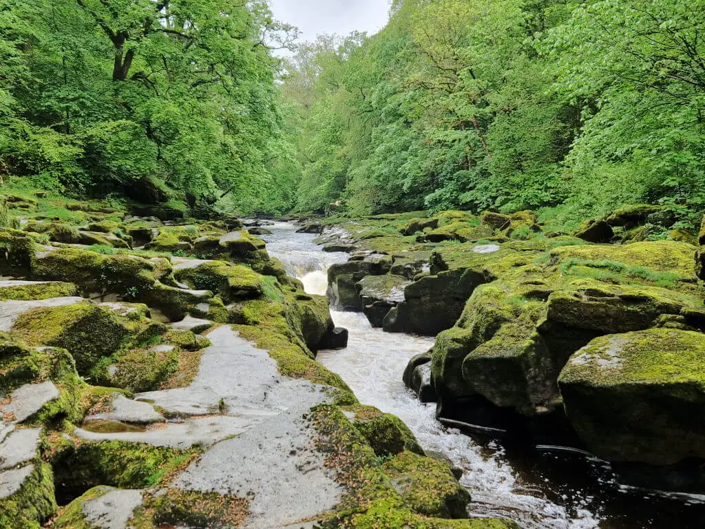 Water rushing down a narrow channel between rocks. The water level is low and you can stand on the rocks near to the waterfall. The rocks are covered with green moss