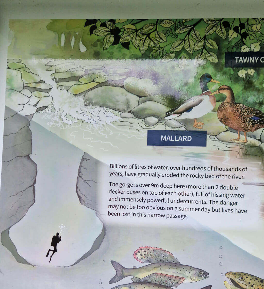 A noticeboard showing the depth of the chasm below The Strid waterfall