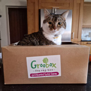 A tabby and white cat sits in a cardboard box from a vegetable delivery company