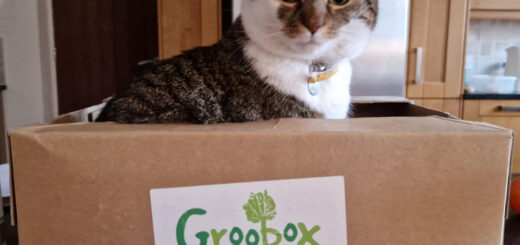 A tabby and white cat sits in a cardboard box from a vegetable delivery company