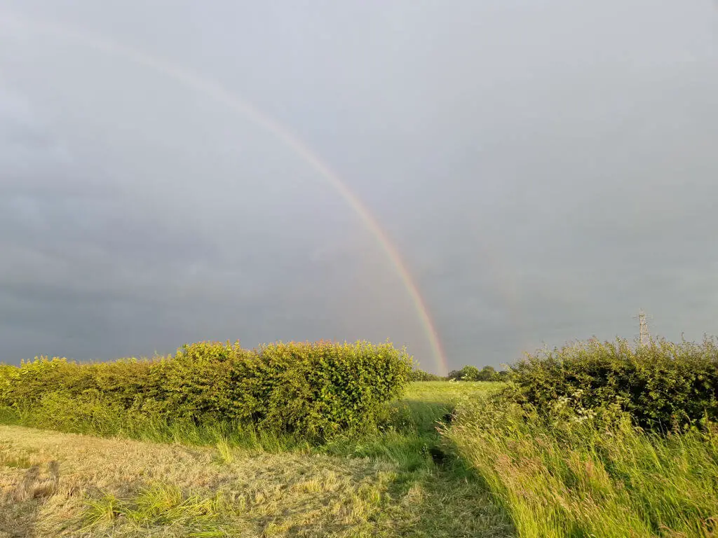 A rainbow in heavy black clouds visible between a gap in two hedges. This side of the hedge is in sunshine