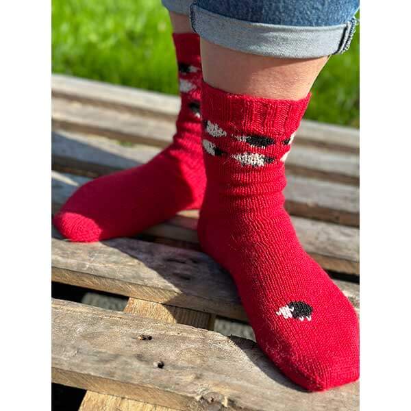 Red socks modelled on feet.  The model is standing on a wooden pallet.  There are black and white colourwork sheep on the socks