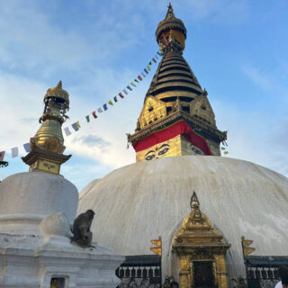 A white domed temple roof with a golden spire. There is a large pair of eyes painted on the spire. A monkey sits on a ledge next to the white dome