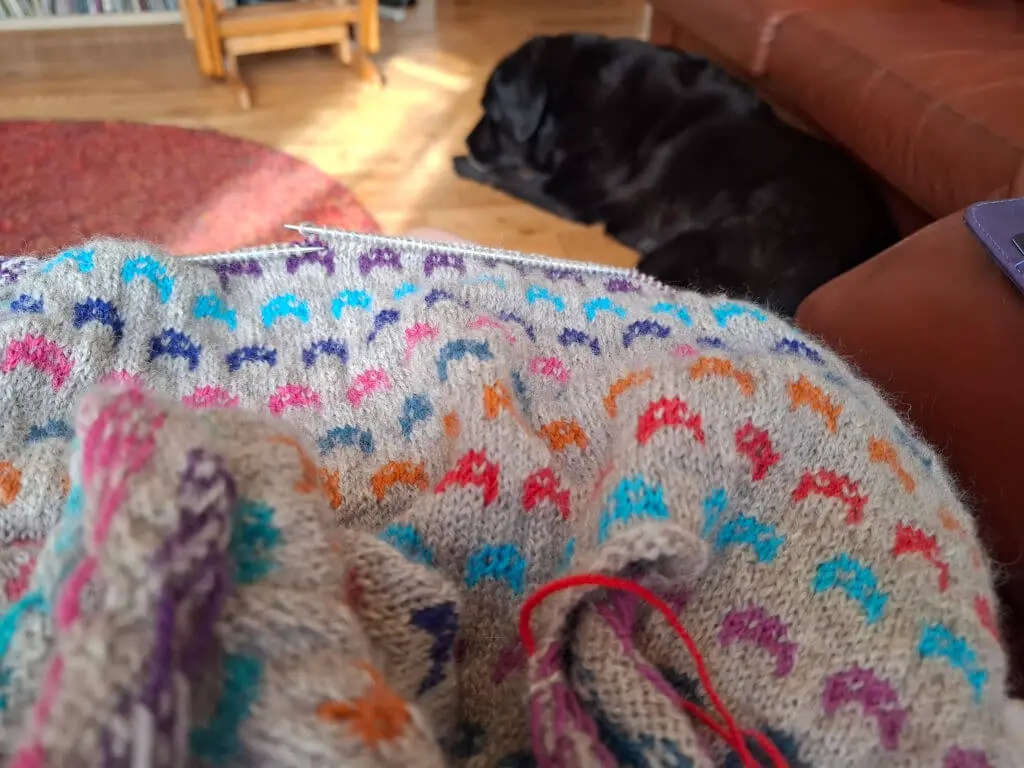 A partly-knitted grey jumper with coloured colourwork cats is resting on Christine's knee. A black dog is lying on the floor in the background