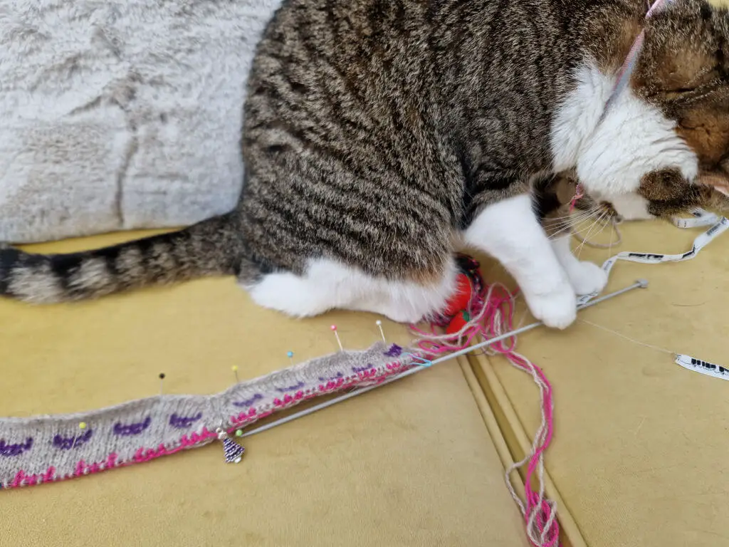A tabby and white cat pokes at a knitting needle with her paw. She is sitting on a mustard-coloured sofa and the knitting is pinned to the sofa