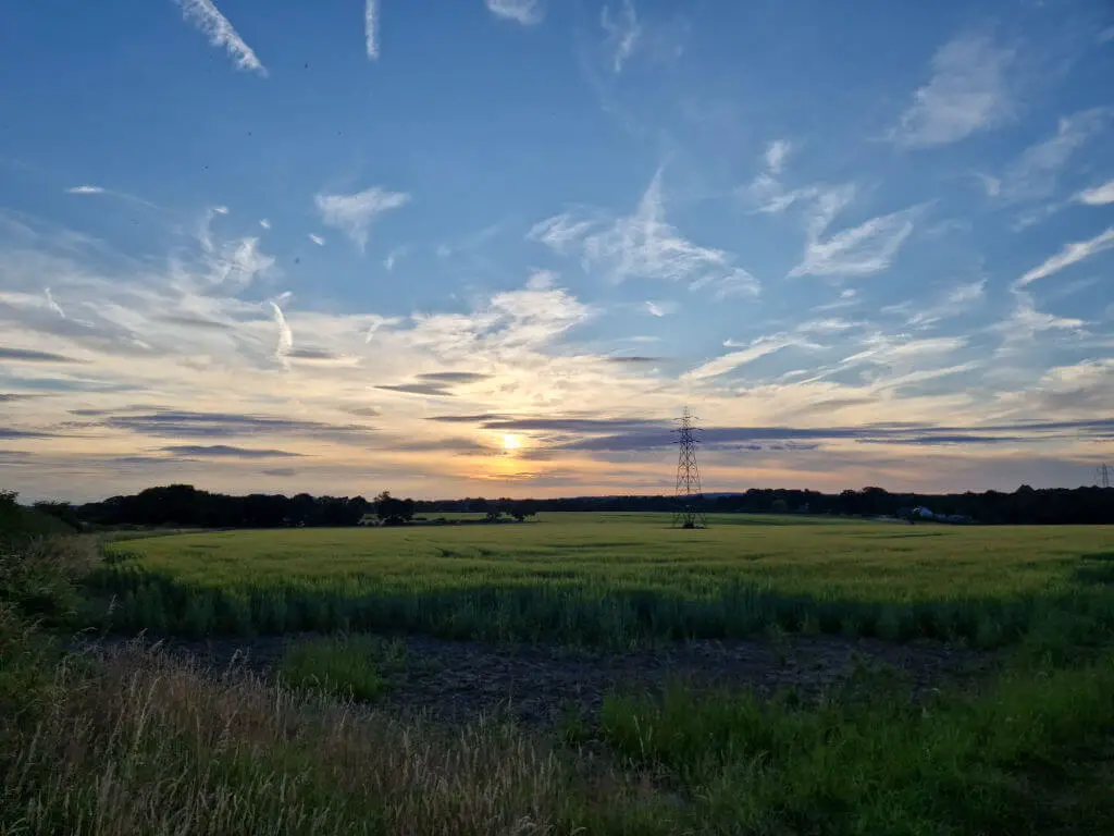 A view across a field of green wheat to a sunset and a blue sky streaked with clouds.